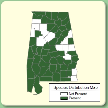 Species Distribution Map