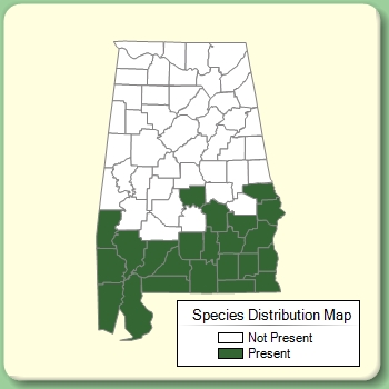 Species Distribution Map