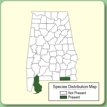 Species Distribution Map