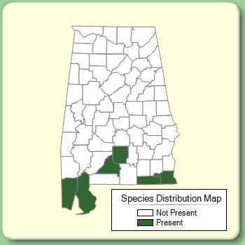 Species Distribution Map