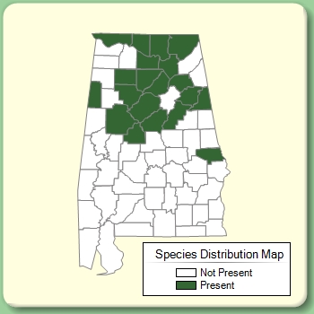 Species Distribution Map