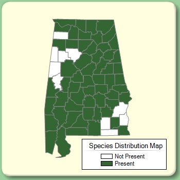 Species Distribution Map