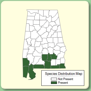 Species Distribution Map