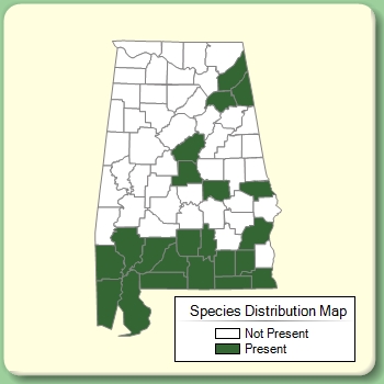 Species Distribution Map