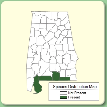 Species Distribution Map