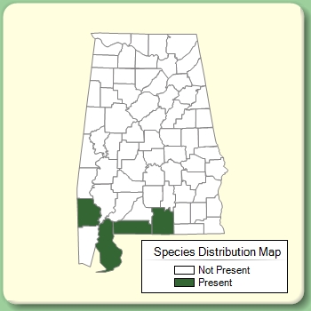 Species Distribution Map