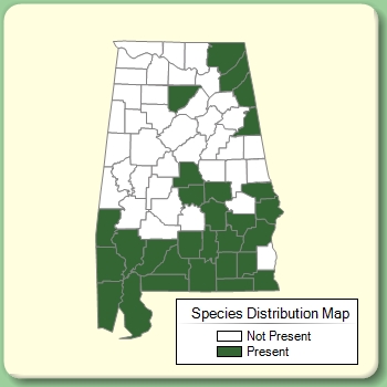 Species Distribution Map