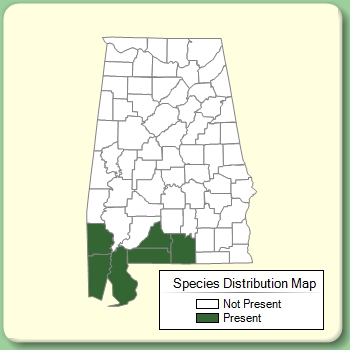 Species Distribution Map