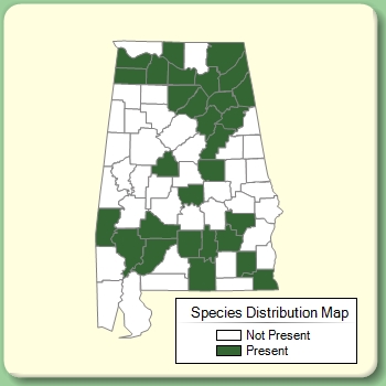 Species Distribution Map