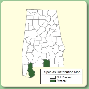 Species Distribution Map