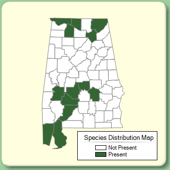 Species Distribution Map