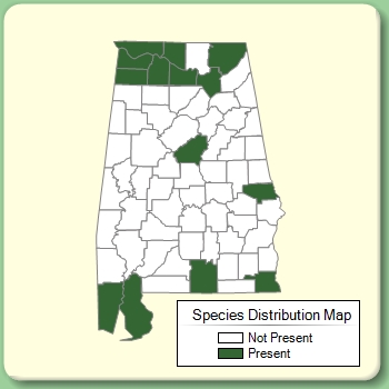 Species Distribution Map