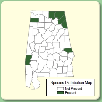 Species Distribution Map