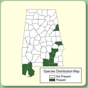 Species Distribution Map