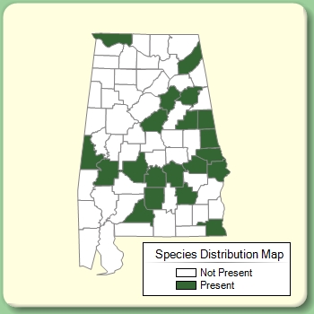 Species Distribution Map