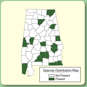 Species Distribution Map