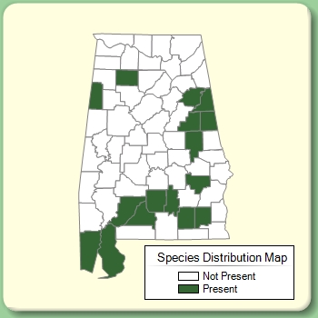 Species Distribution Map