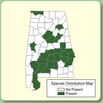 Species Distribution Map