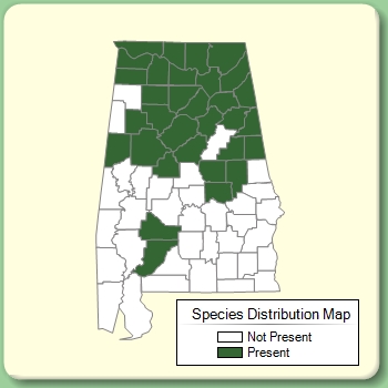 Species Distribution Map