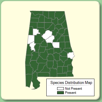 Species Distribution Map