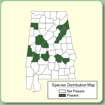 Species Distribution Map