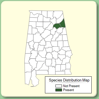 Species Distribution Map