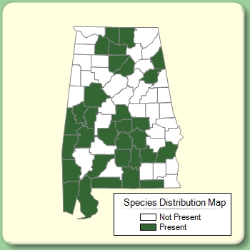 Species Distribution Map