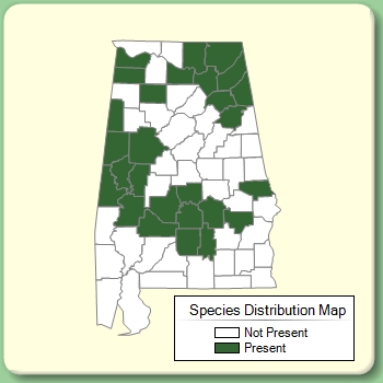 Species Distribution Map