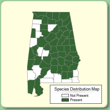 Species Distribution Map