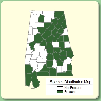 Species Distribution Map