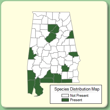 Species Distribution Map