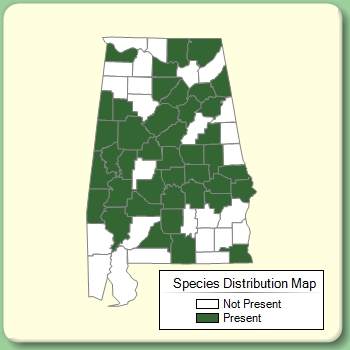 Species Distribution Map