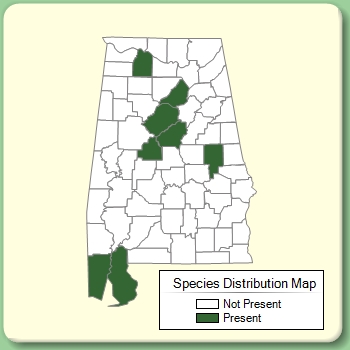 Species Distribution Map