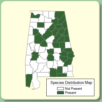 Species Distribution Map