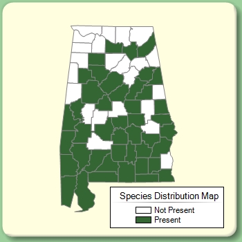 Species Distribution Map