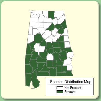 Species Distribution Map