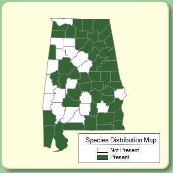 Species Distribution Map