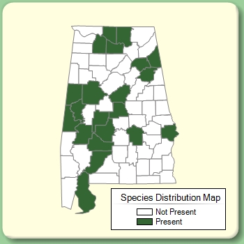 Species Distribution Map