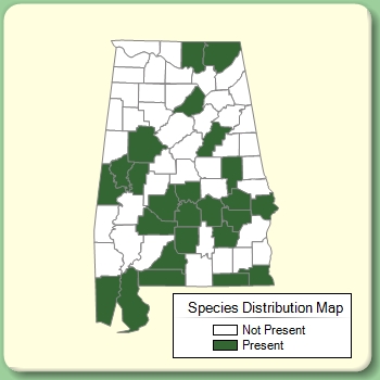 Species Distribution Map