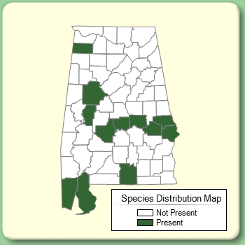 Species Distribution Map