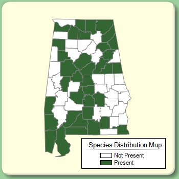 Species Distribution Map