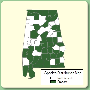 Species Distribution Map