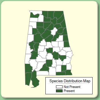 Species Distribution Map