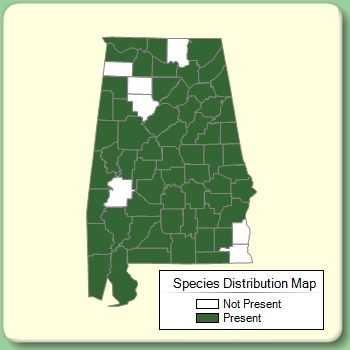 Species Distribution Map