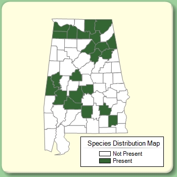 Species Distribution Map