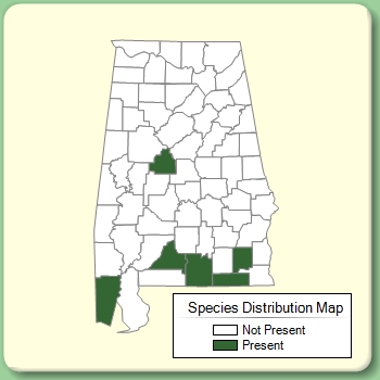 Species Distribution Map