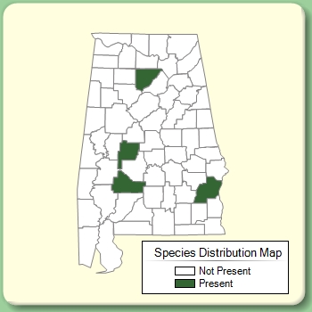 Species Distribution Map