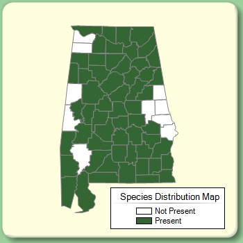 Species Distribution Map