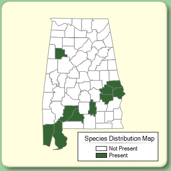 Species Distribution Map