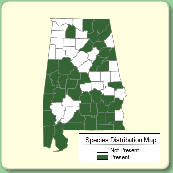 Species Distribution Map